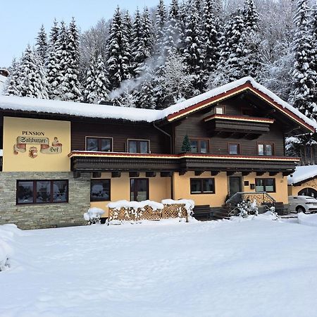 Apartments Salzburgerhof Saalbach-Hinterglemm Exteriér fotografie